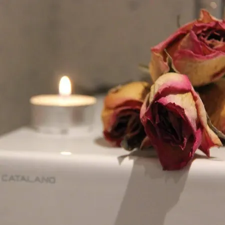 Pensionat Marta & Ljubljana